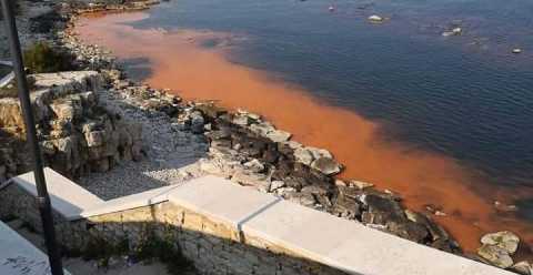 Il mare sta diventando arancione: «Sono alghe e proliferano "grazie" alla quarantena»